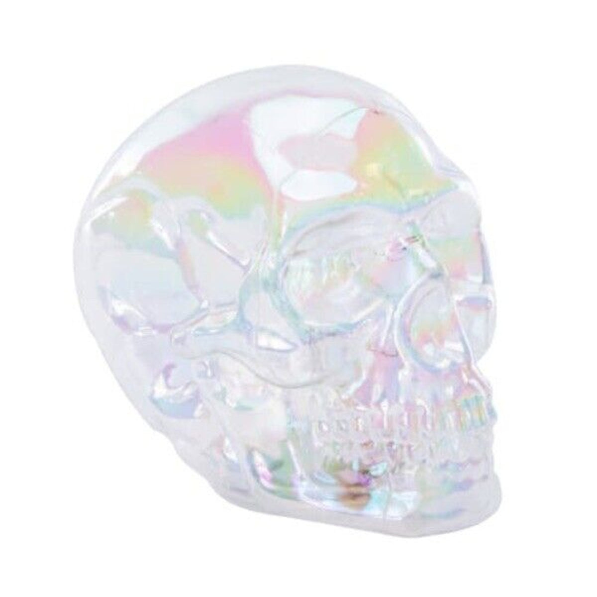🔥Iridescent Skull 4.3in x 6.3in BNWT🔥