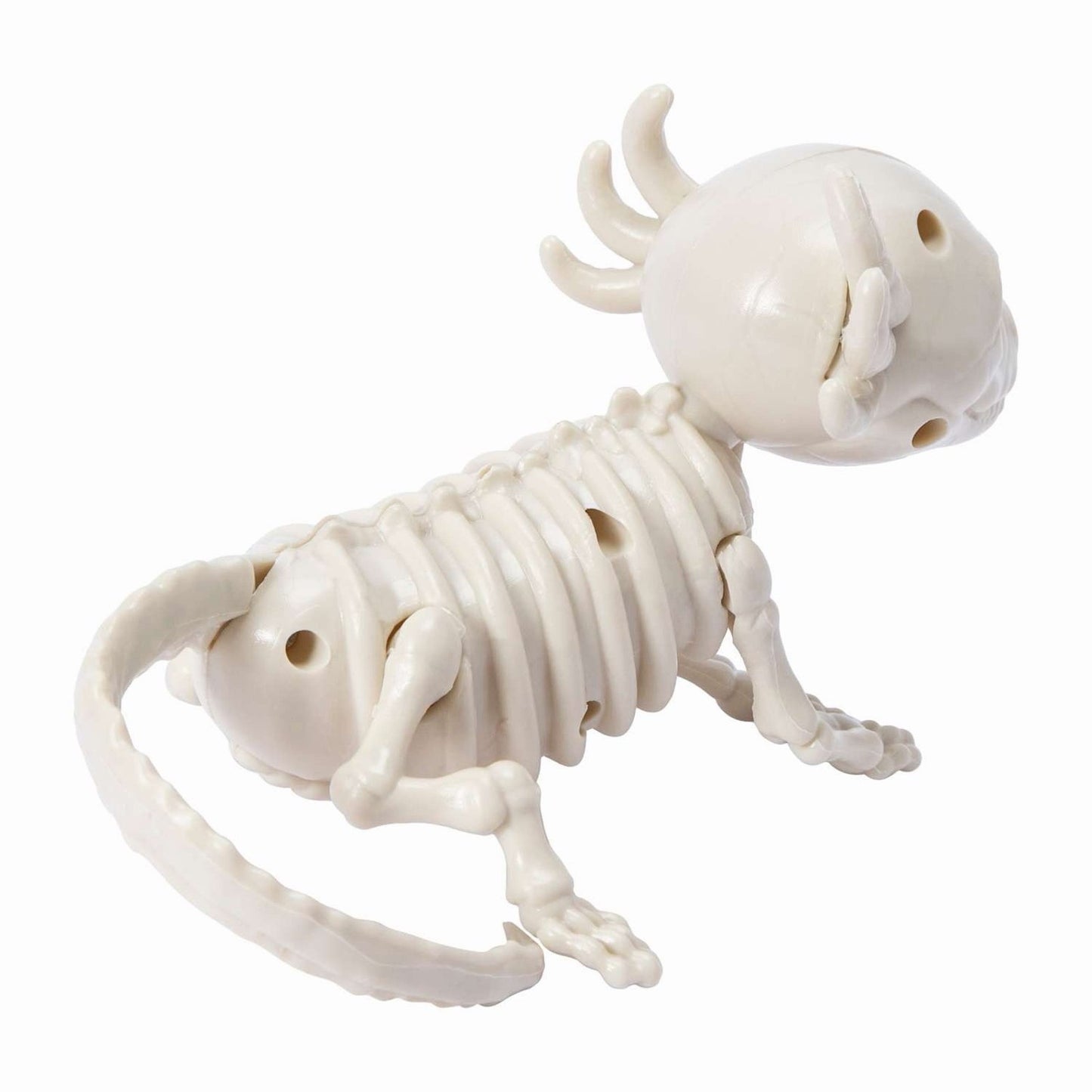 🔥Halloween Axolotyl Skeleton Super Cute BNWT🔥