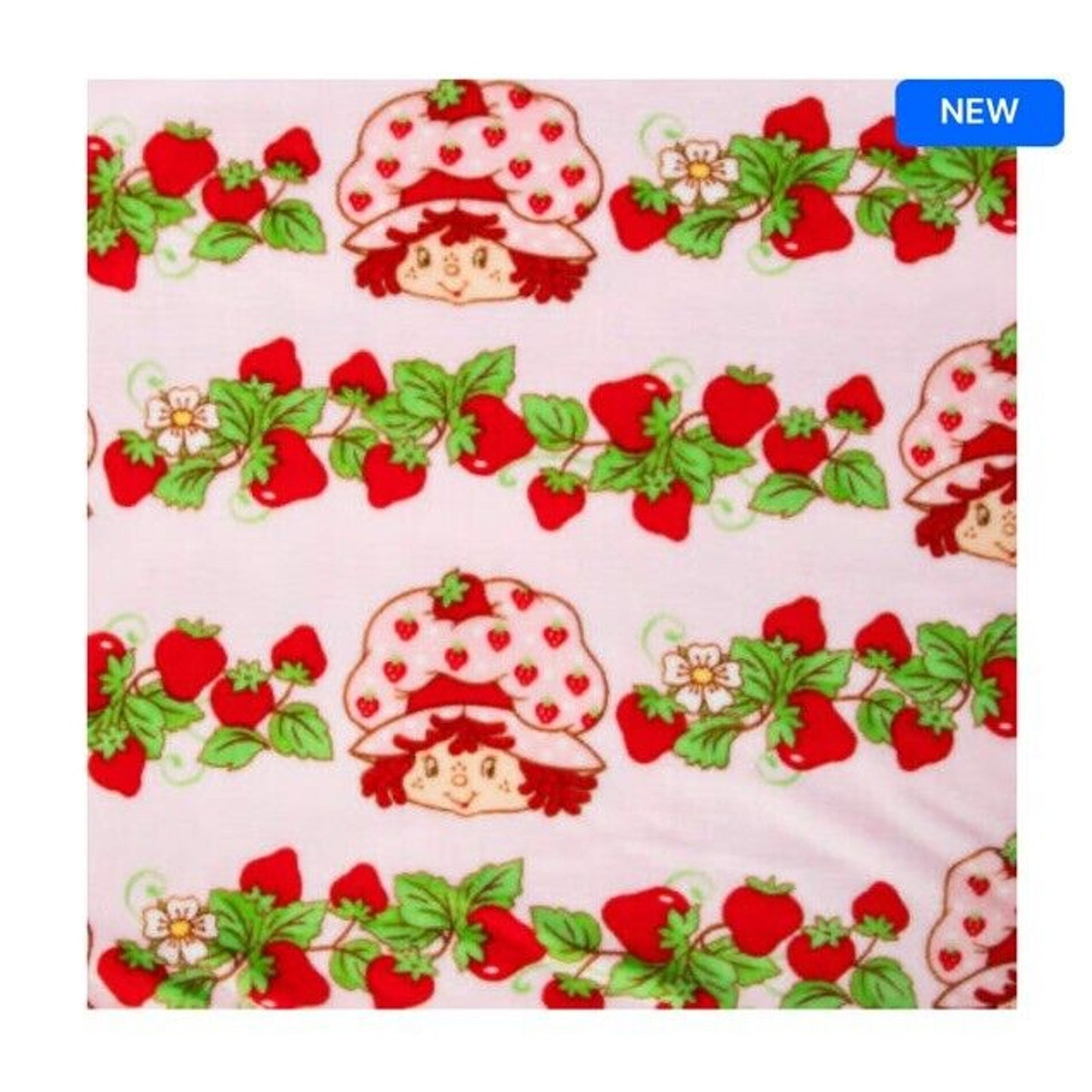 🔥Strawberry Shortcake 40 x 50 Inch Silk Touch Throw Travel Blanket BNWT🔥
