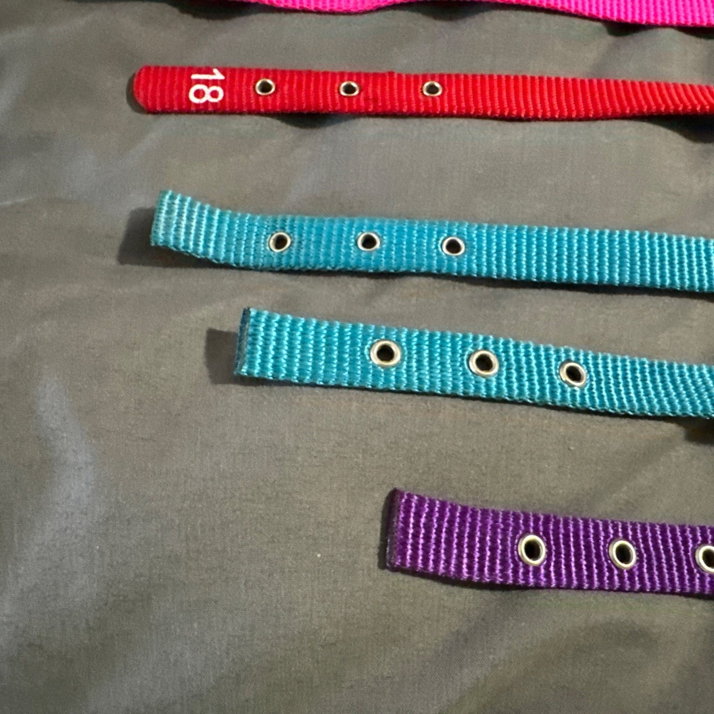 🔥Hamilton Products Dog Collar Lot (6 Collars) BNWT🔥