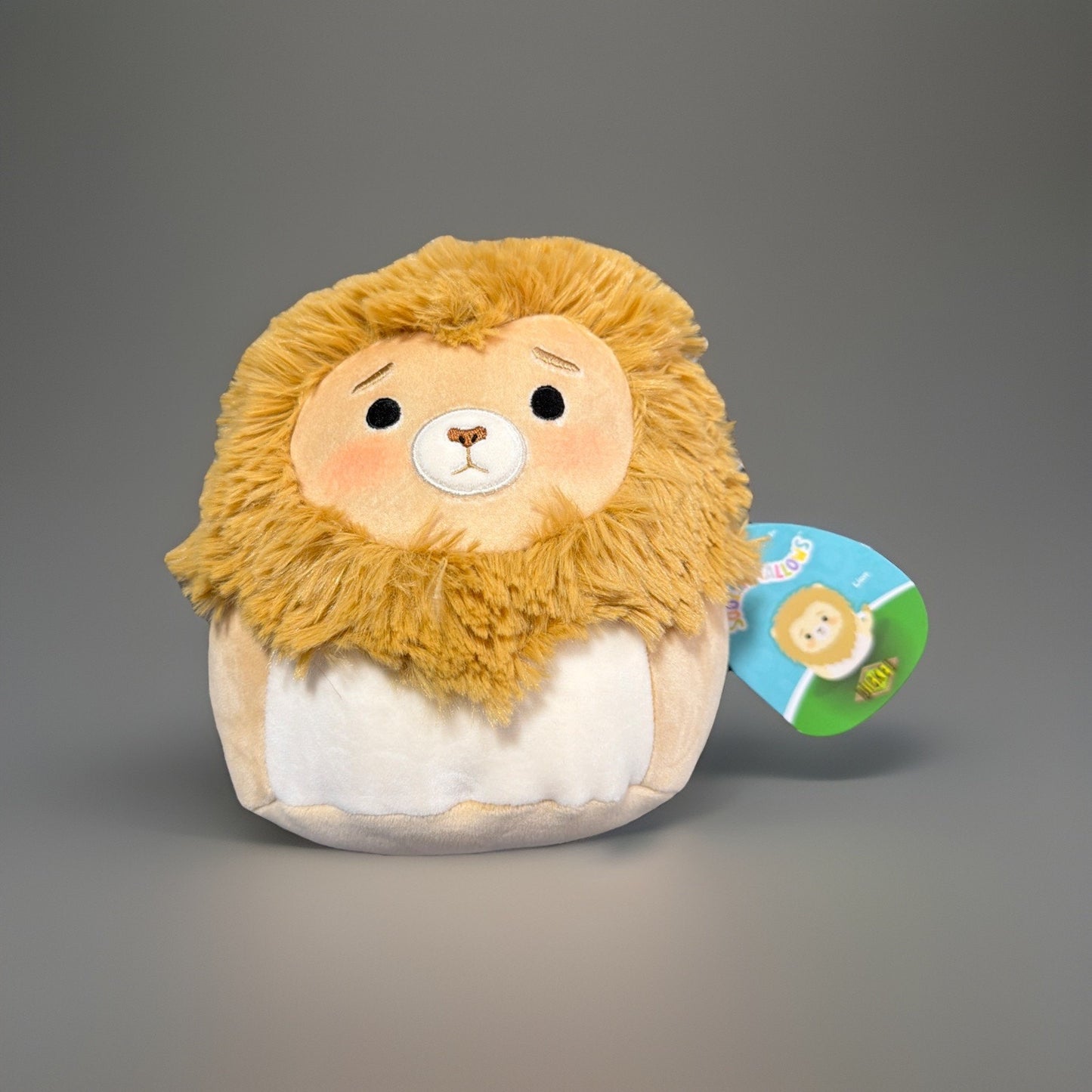 š„Squishmallows Wicked Wizard of Oz 6.75ā Plush Complete Set of 5 BNWTš„