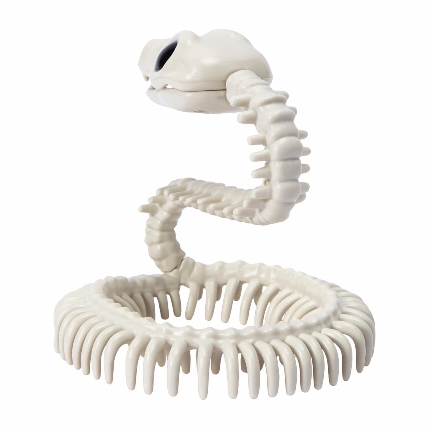 🔥Halloween Snake Skeleton Super Cute BNWT🔥