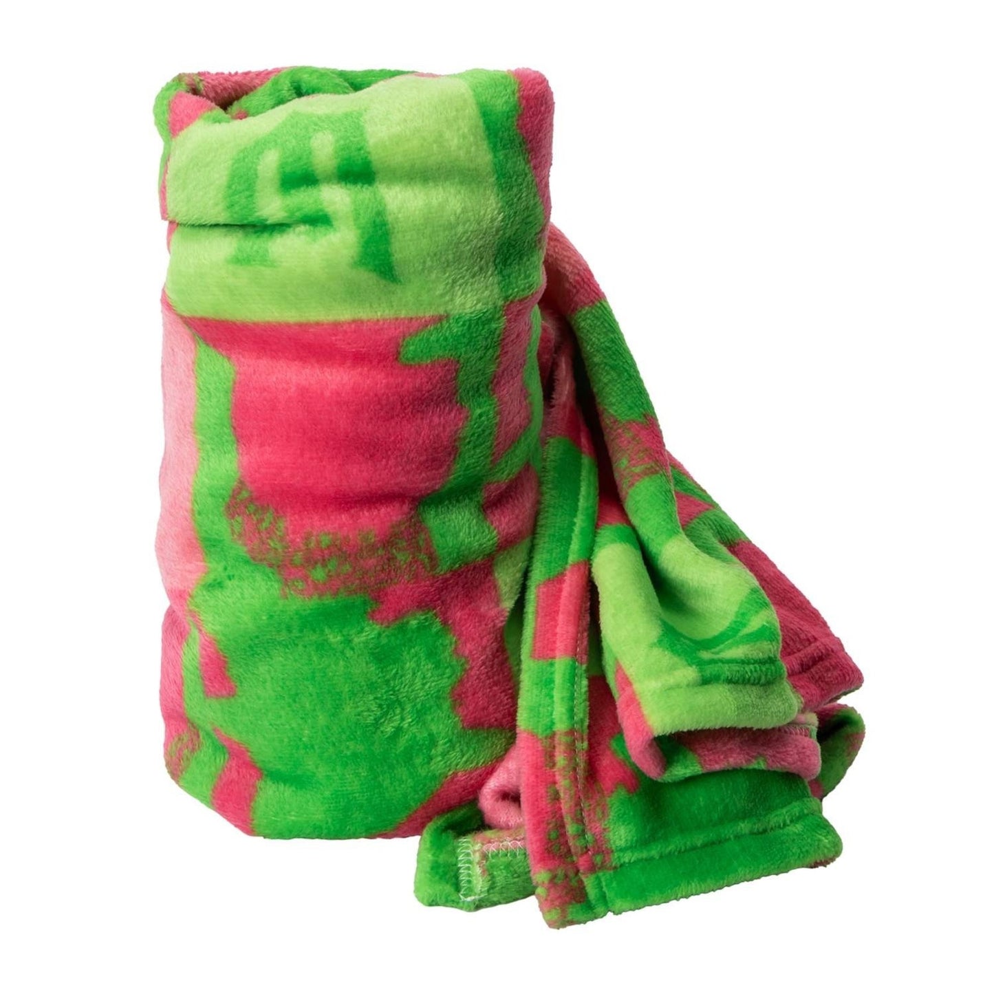 🔥Wicked Silk Touch Blanket 40 x 50 BNWT🔥