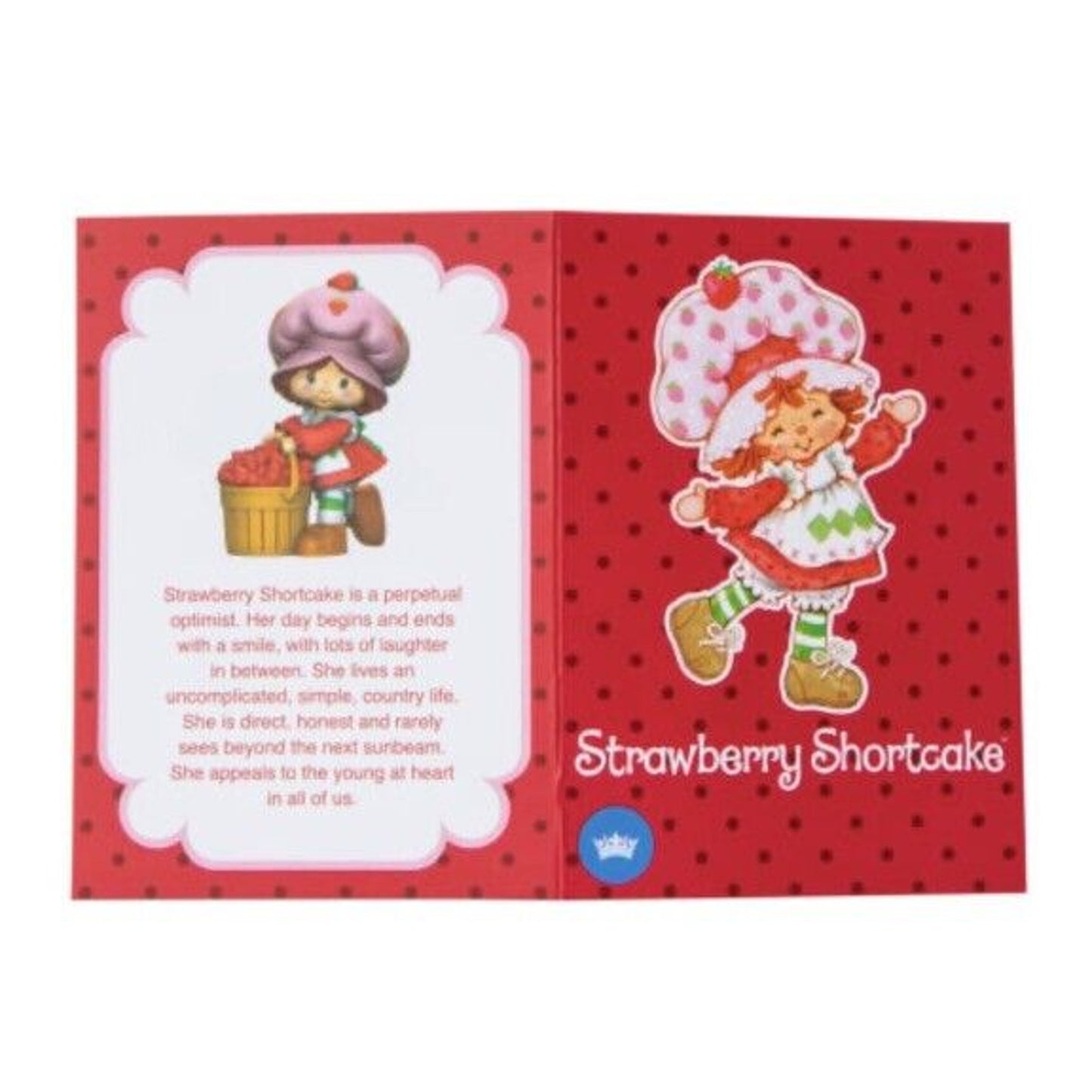🔥The World Of Strawberry Shortcake - Strawberry Shortcake BNWT🔥