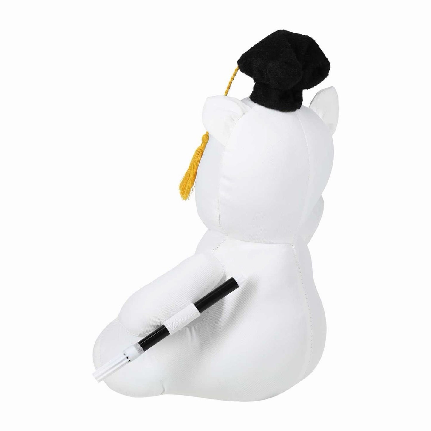 🔥Graduation Bear Plush BNWT🔥