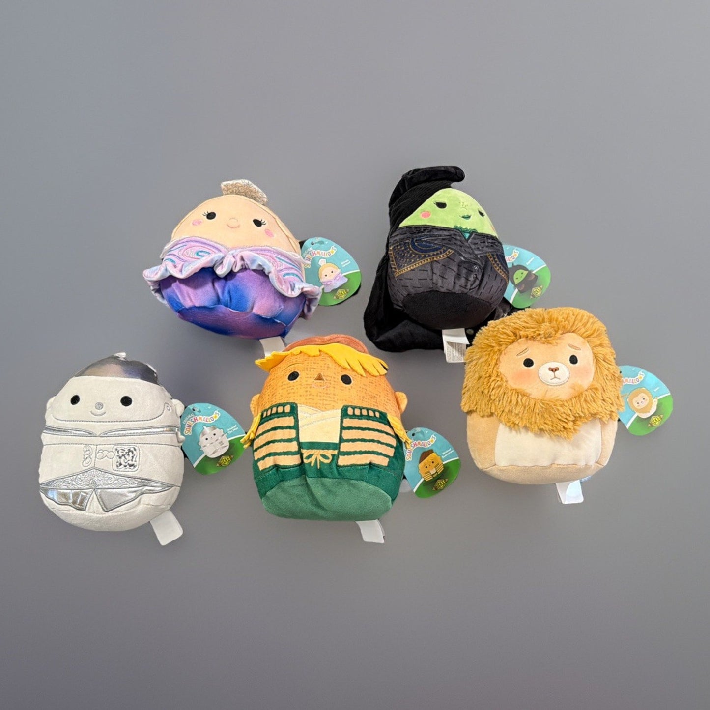 🔥Squishmallows Wicked Wizard of Oz 6.75” Plush Complete Set of 5 BNWT🔥