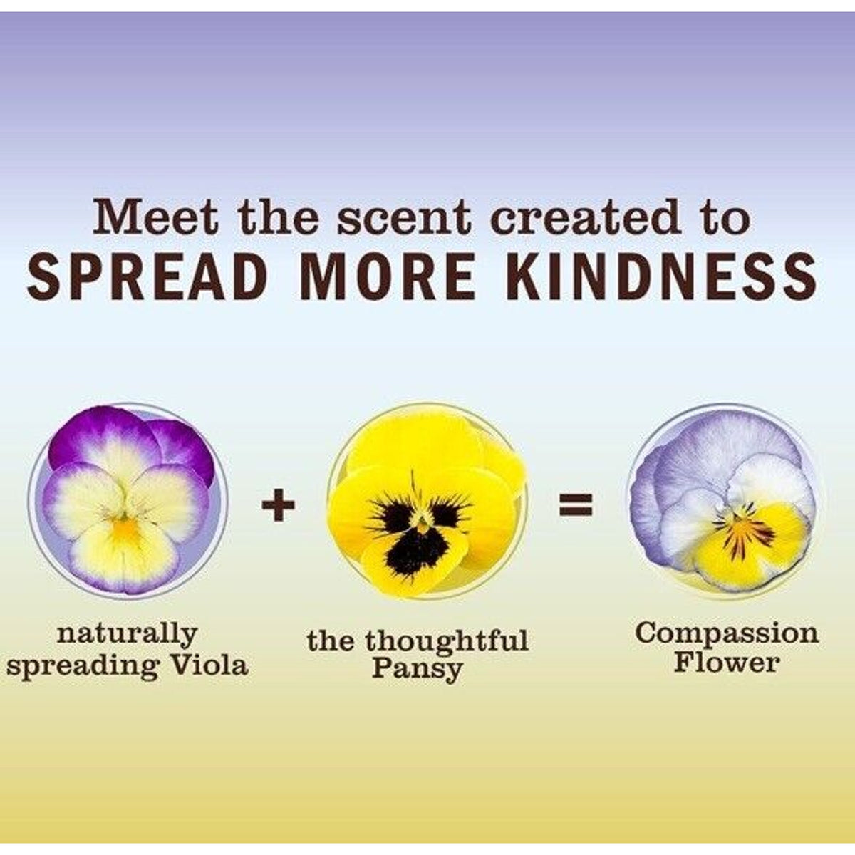 🔥MRS. MEYER'S CLEAN DAY Hand Soap, Compassion Flower, 12.5 fl. oz - Pack Of 3🔥