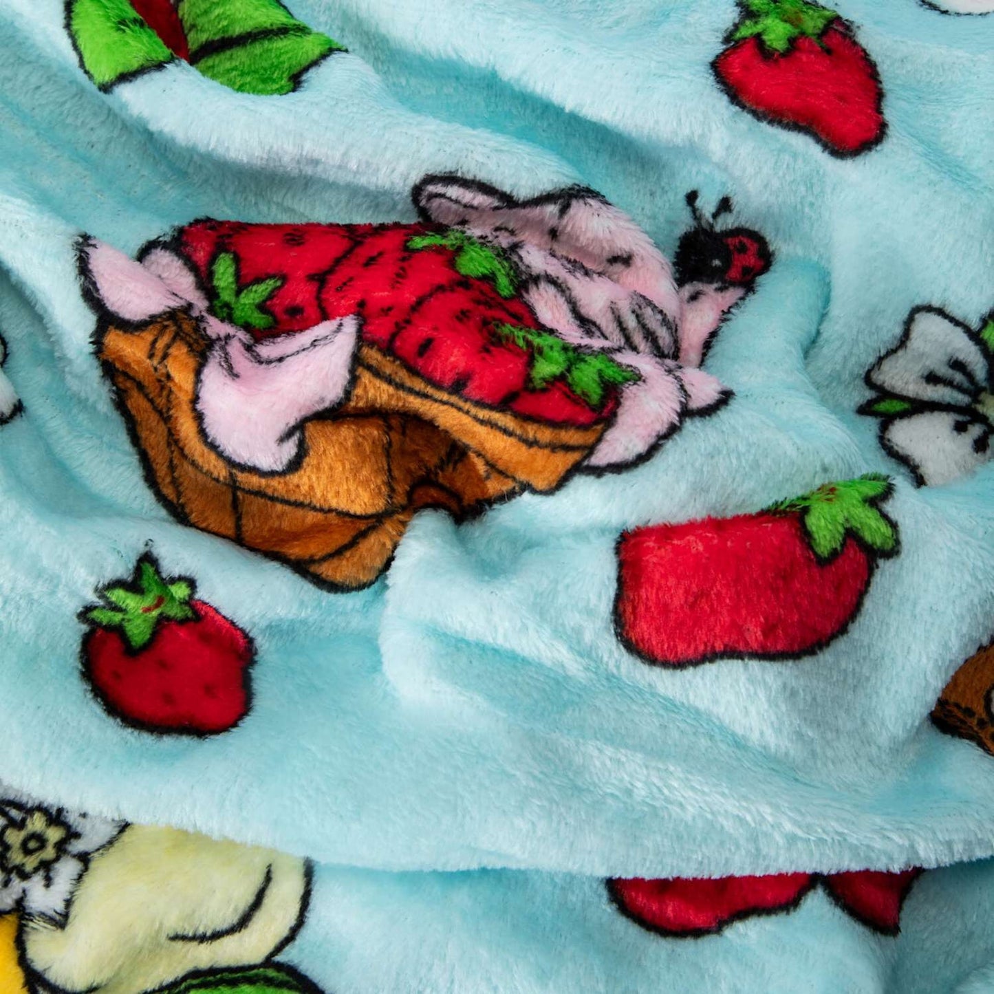 🔥Strawberry Shortcake 40 x 50 Inch Silk Touch Throw Travel Blanket BNWT🔥