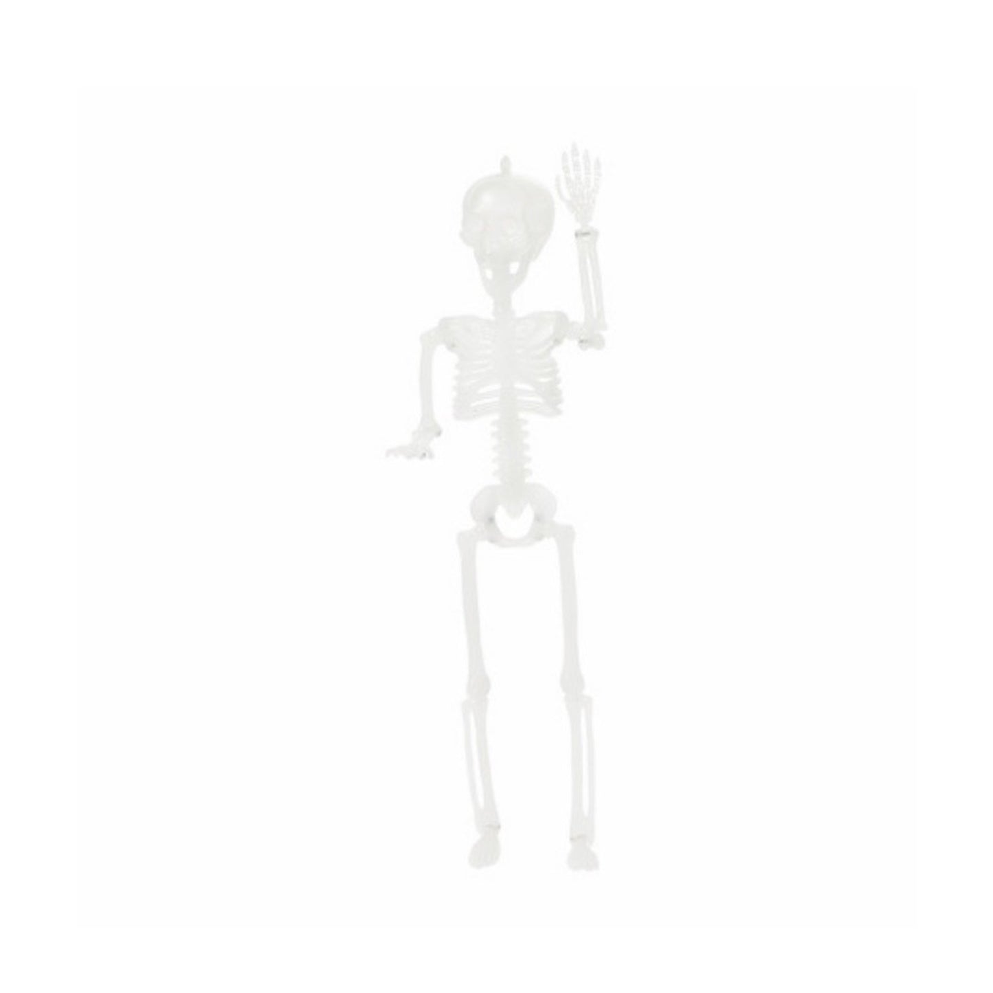 🔥Halloween Poseable Skeleton 1 Foot BNWT🔥