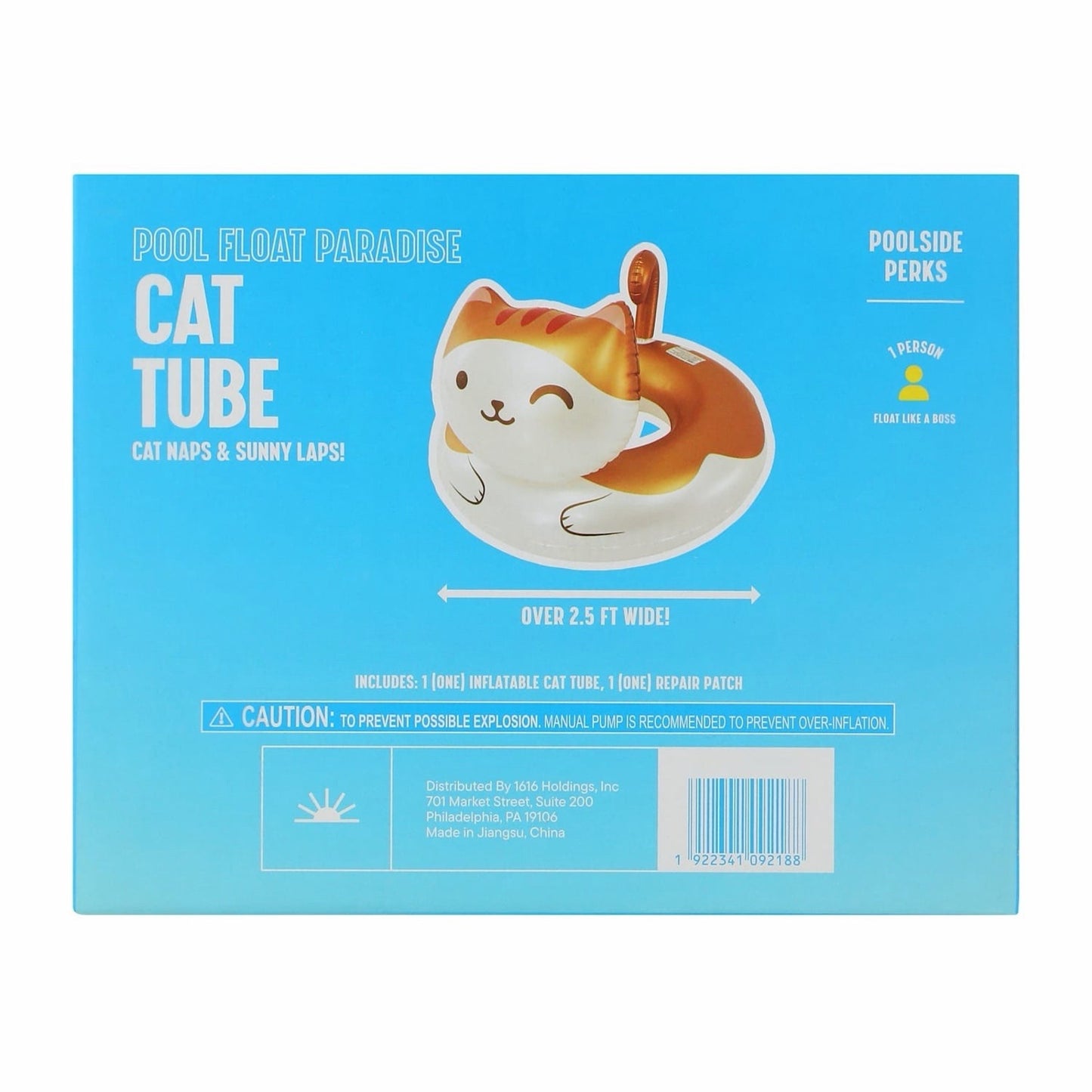 🔥Cat Raft Ring Pool Float BNWT🔥