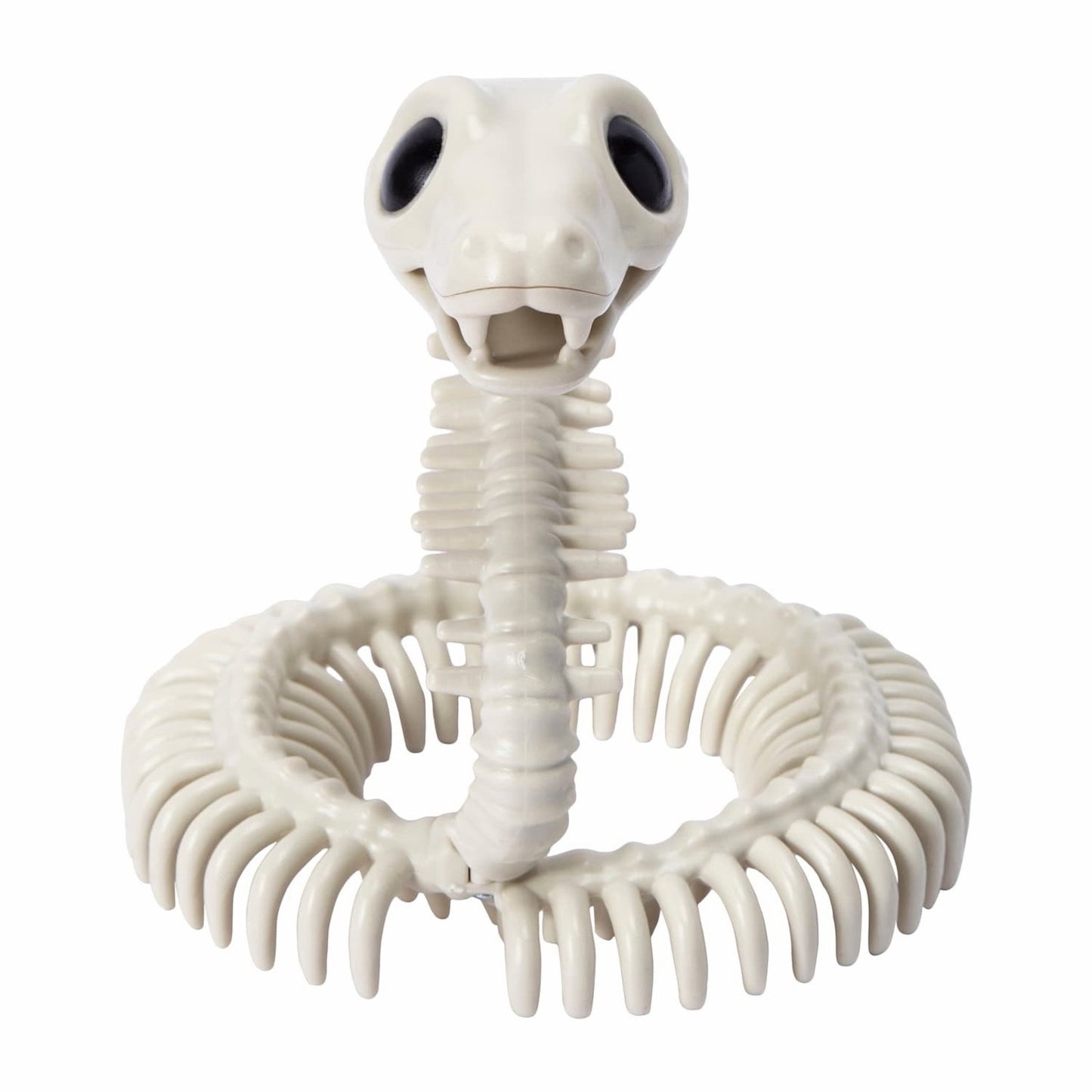🔥Halloween Snake Skeleton Super Cute BNWT🔥