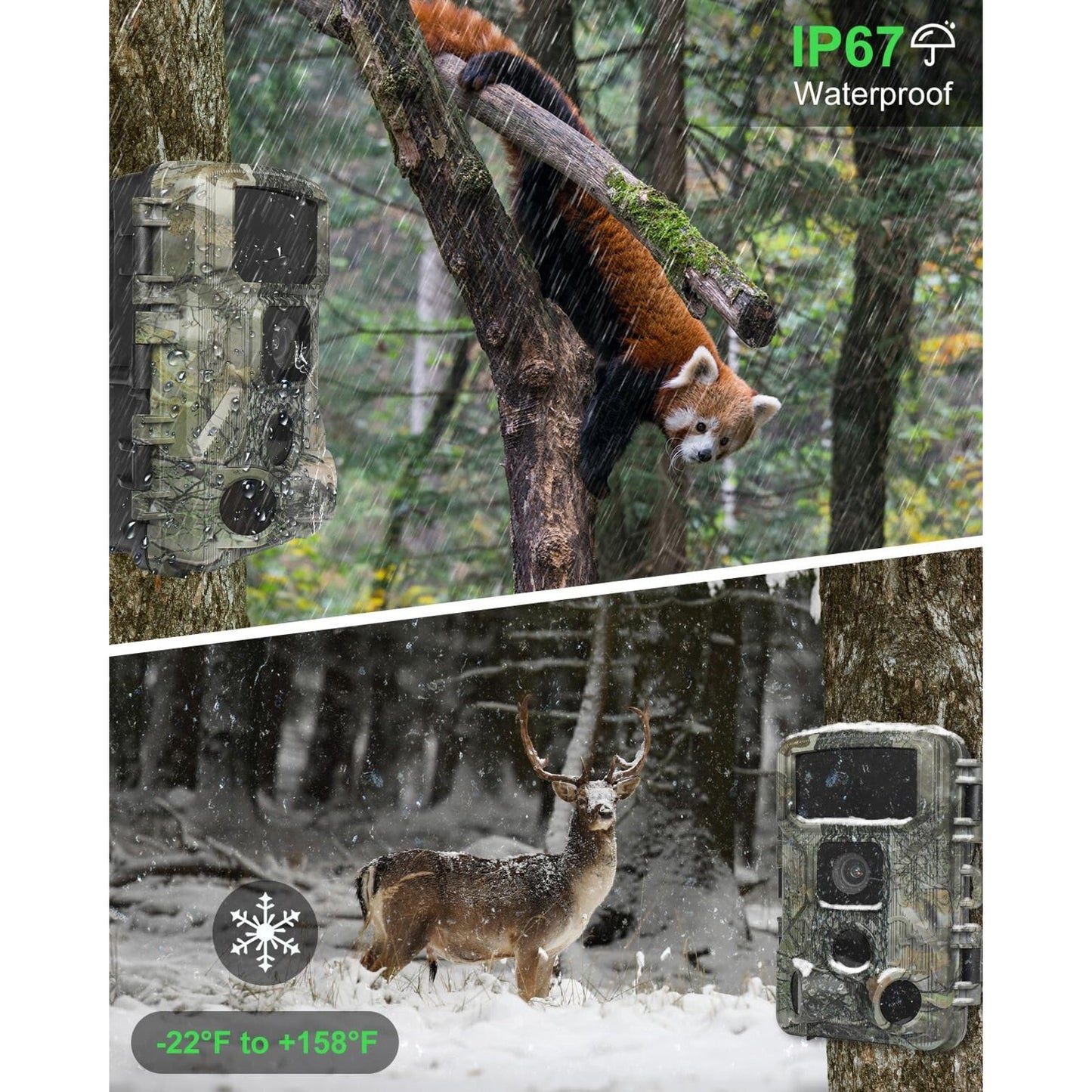 🔥KJK WiFi Trail Game Cam 4K 64MP 64GB 8 Batteries Memory Card NIght Vis BNWT🔥