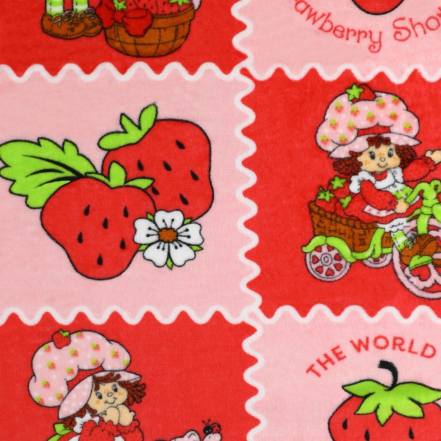 🔥Strawberry Shortcake 40 x 50 Inch Silk Touch Throw Travel Blanket BNWT🔥