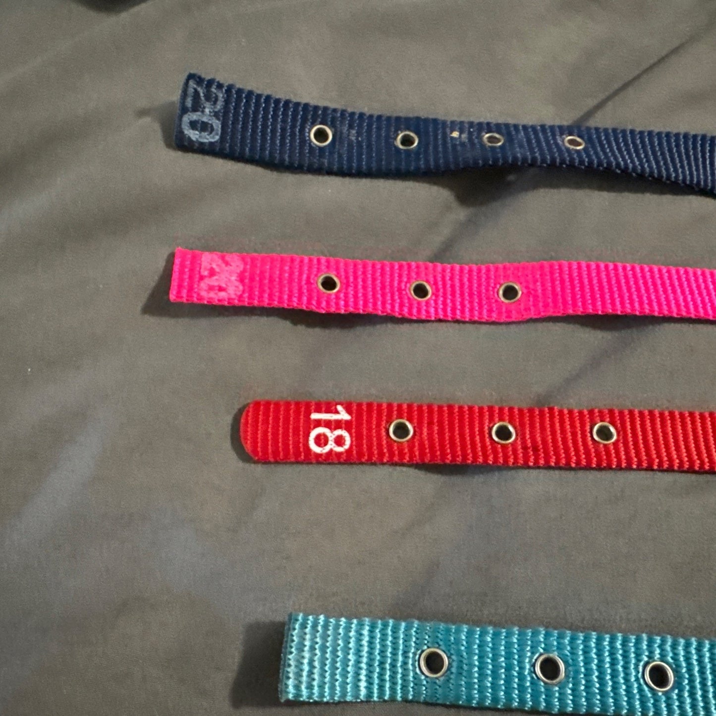 🔥Hamilton Products Dog Collar Lot (6 Collars) BNWT🔥