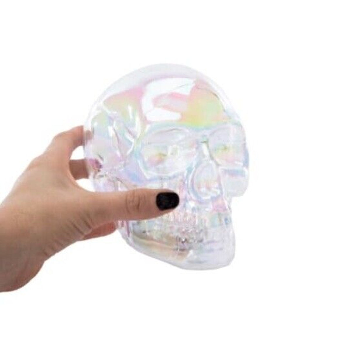🔥Iridescent Skull 4.3in x 6.3in BNWT🔥