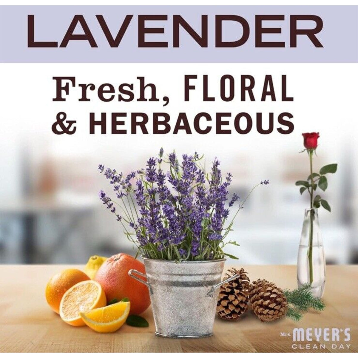 🔥Mrs. Meyer's Clean Day Multi Surface Cleaner Solution 16oz (3 Pk) BNWT🔥