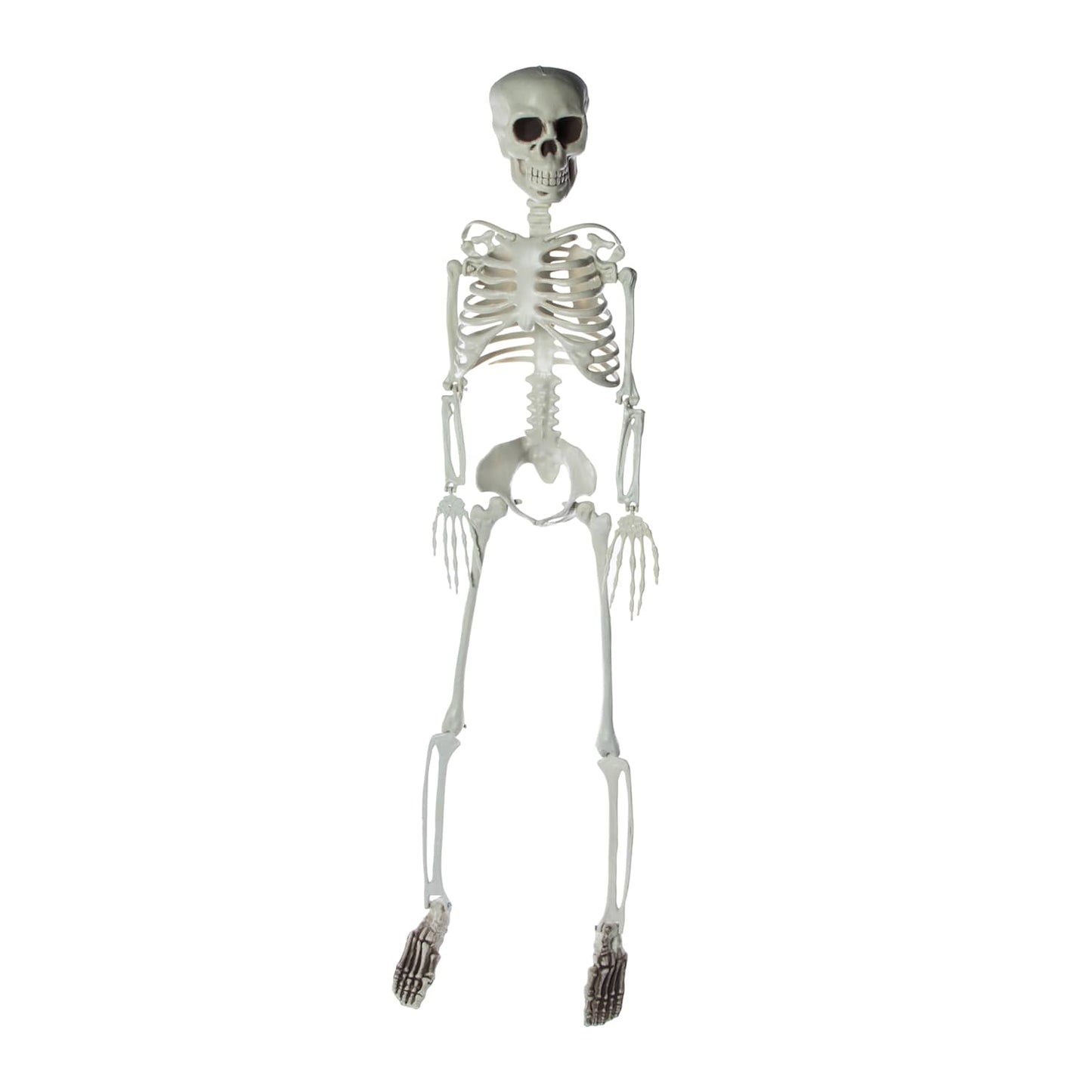 🔥3 Foot Halloween Skeleton Cute & Creepy BNWT🔥