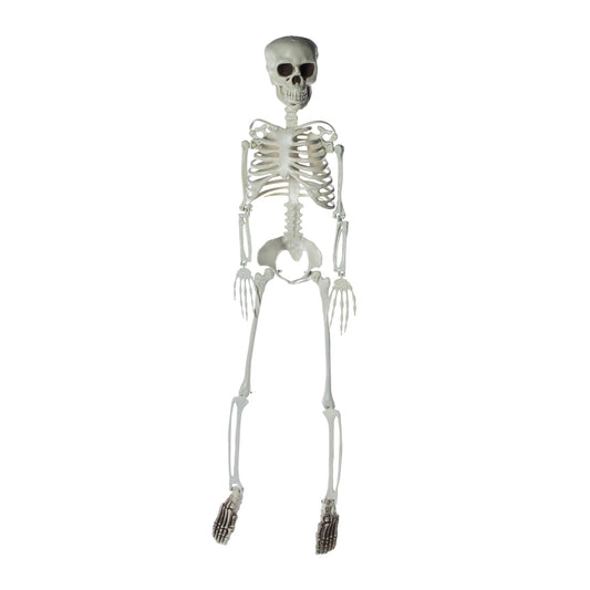 🔥3 Foot Halloween Skeleton Cute & Creepy BNWT🔥