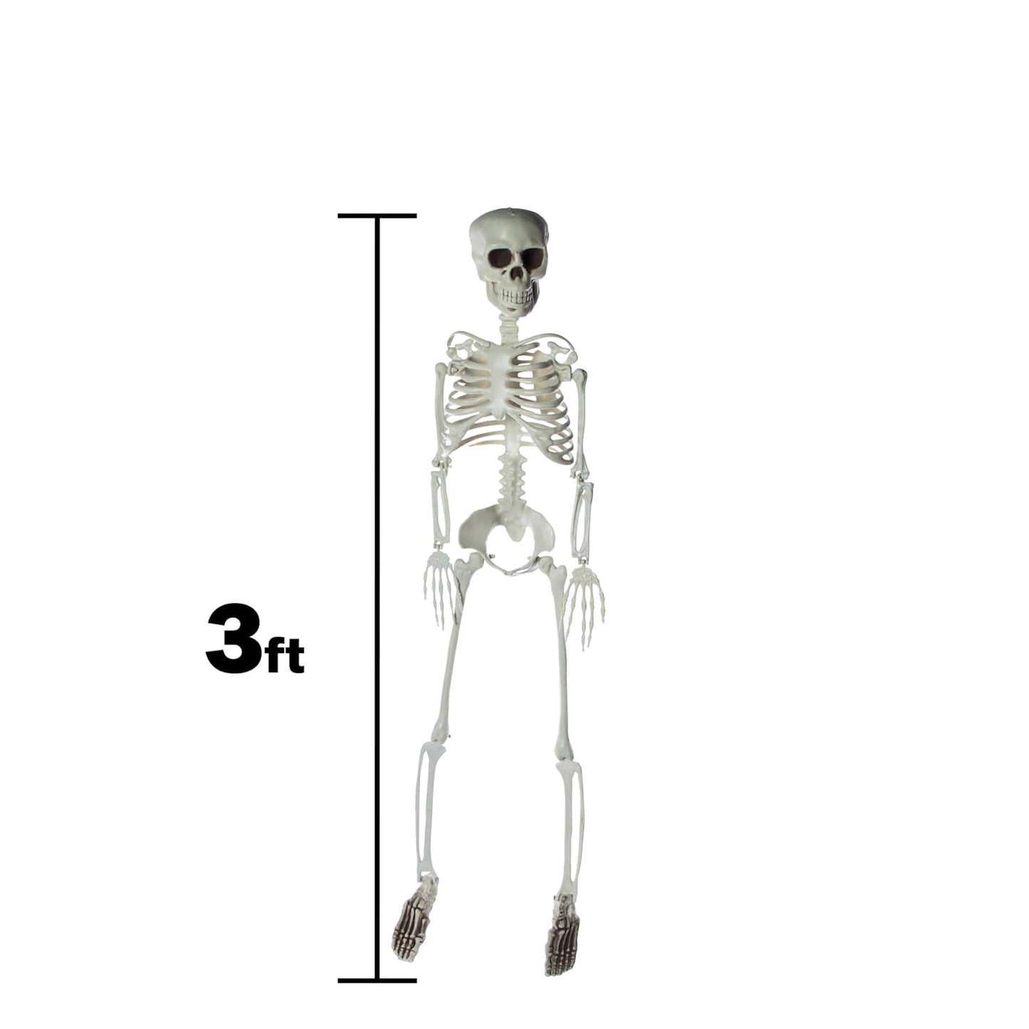 🔥3 Foot Halloween Skeleton Cute & Creepy BNWT🔥
