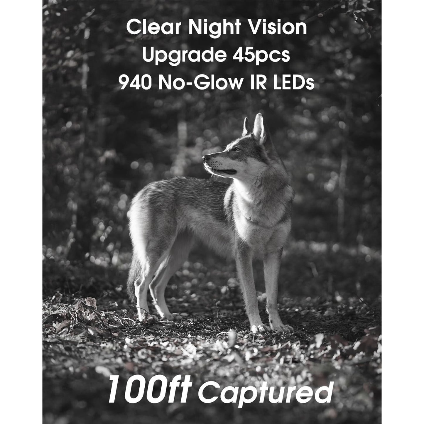 🔥KJK WiFi Trail Game Cam 4K 64MP 64GB 8 Batteries Memory Card NIght Vis BNWT🔥