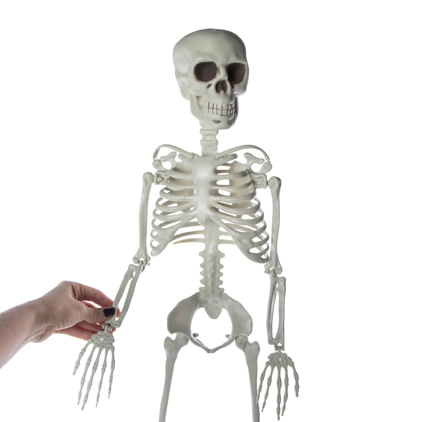 🔥3 Foot Halloween Skeleton Cute & Creepy BNWT🔥
