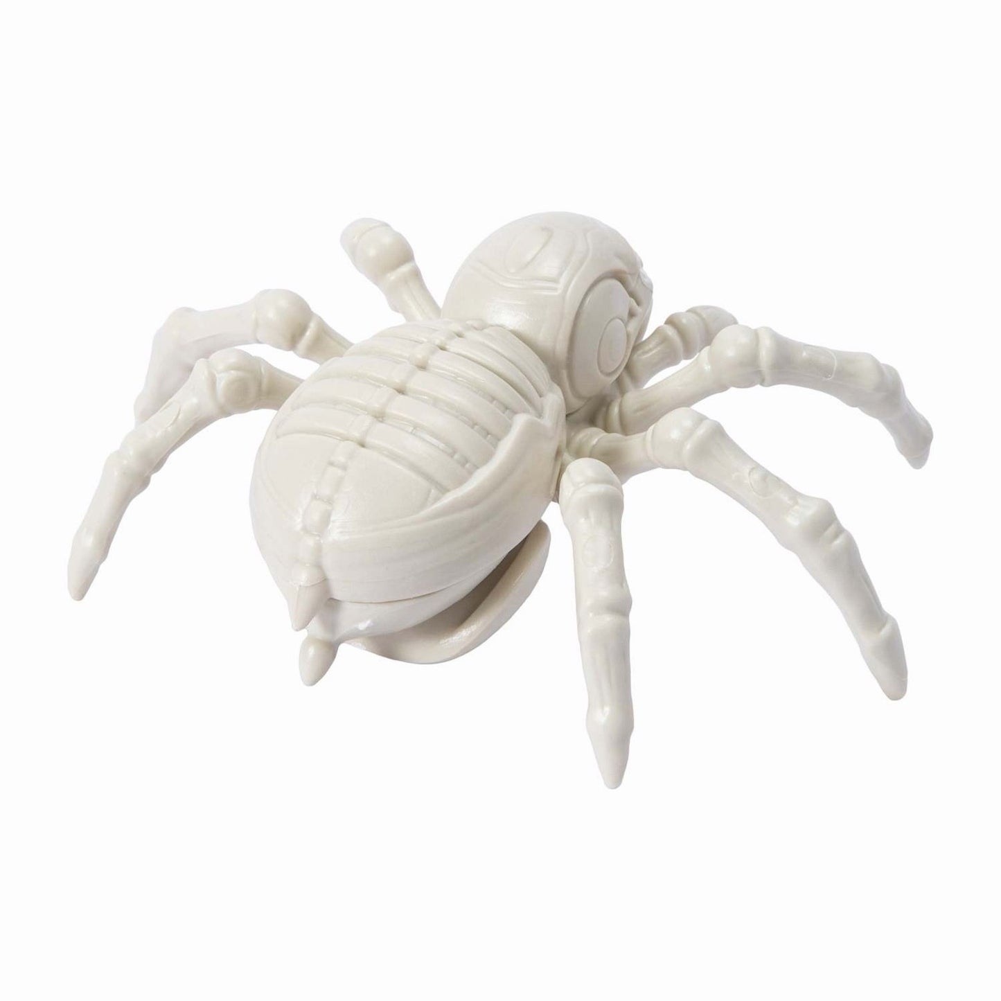 🔥Halloween Skeleton Spider Decor Super Cute BNWT🔥