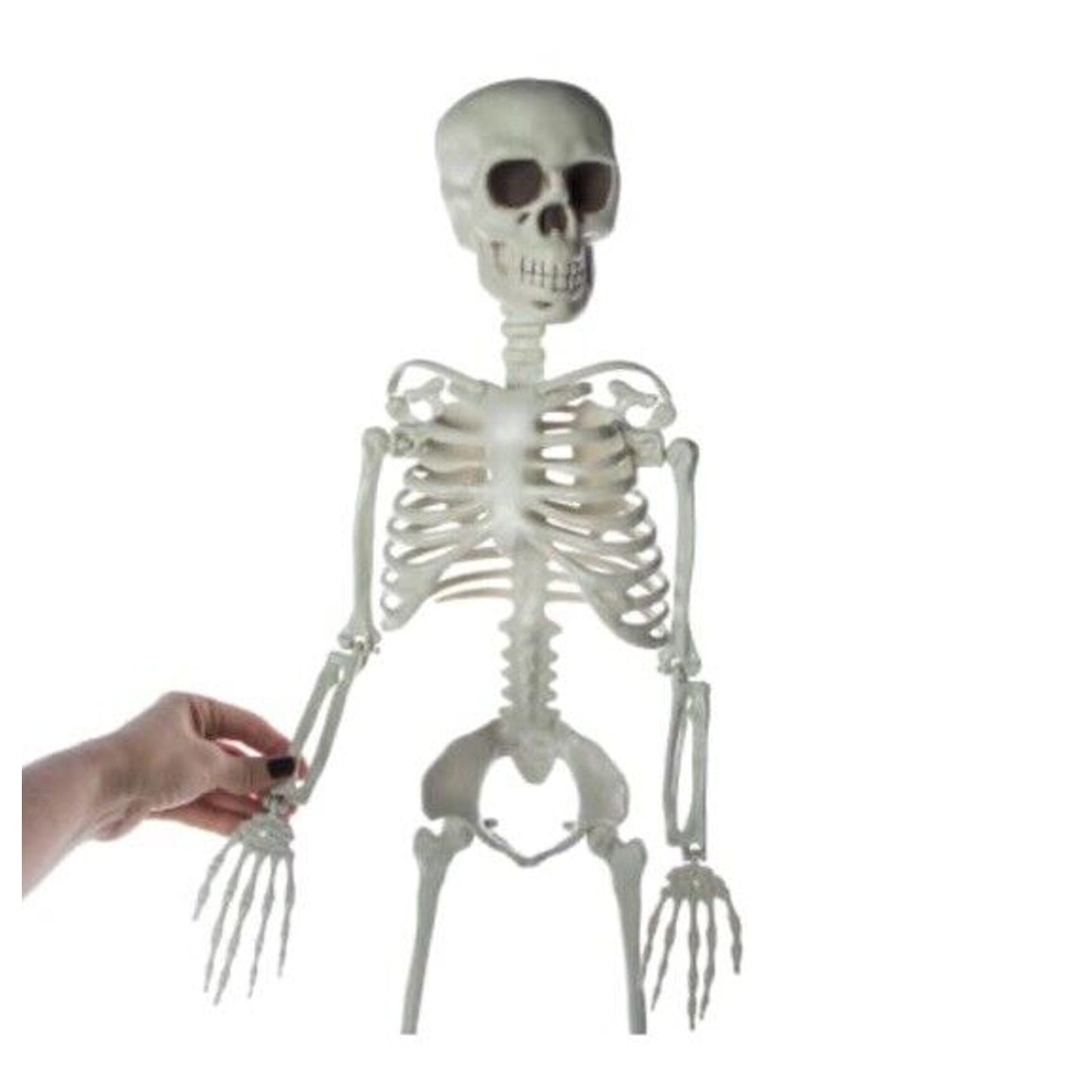 🔥3 Foot Halloween Skeleton Cute & Creepy BNWT🔥