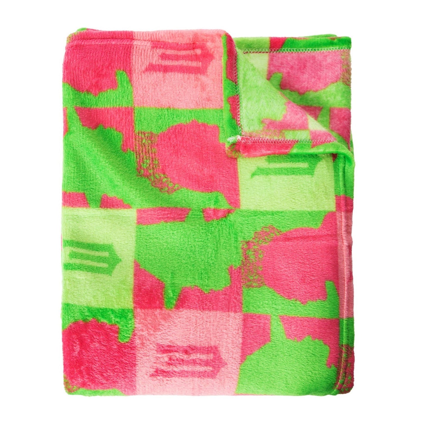 🔥Wicked Silk Touch Blanket 40 x 50 BNWT🔥