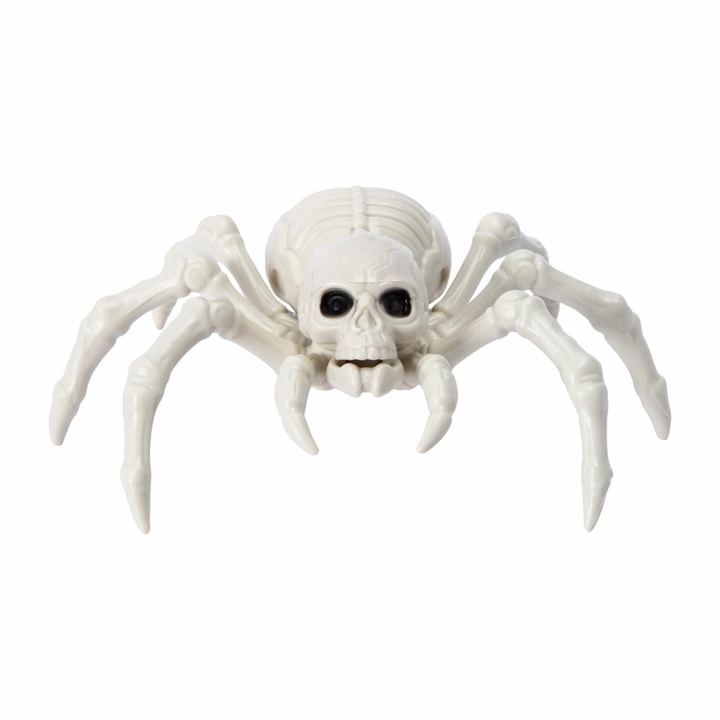 🔥Halloween Skeleton Spider Decor Super Cute BNWT🔥