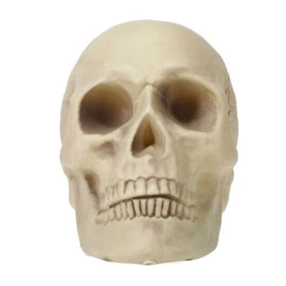 🔥Halloween Skeleton Skull Bone Decor BNWT🔥
